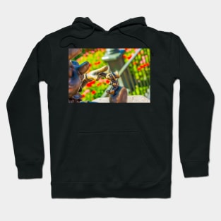 Let Your Conscience Be Your Guide Hoodie